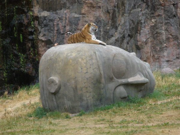 Tiger on Buddha 2